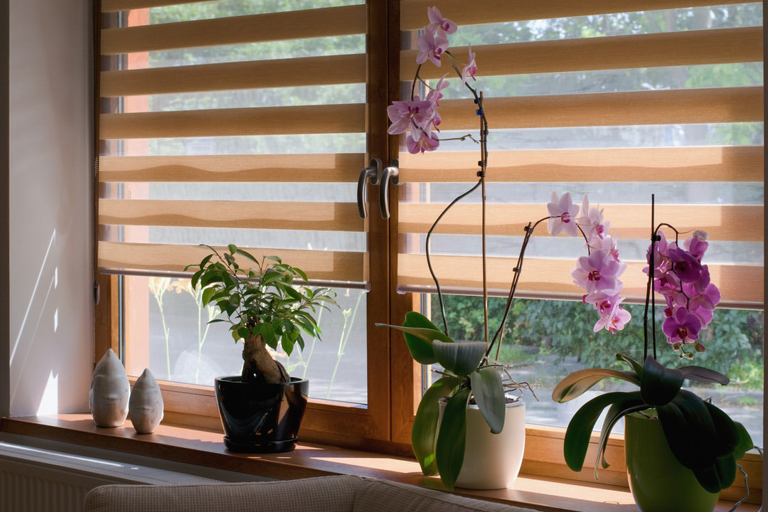 Custom Window Blinds Houston, TX